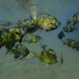 Athens Scuba Park