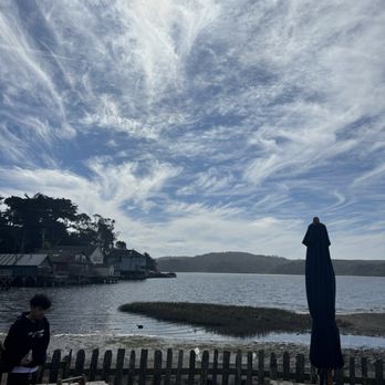 Hog Island Oyster - beautiful view of the bay - Seafood Near Me - Marshall, California Hog Island Oyster - beautiful view of the bay - Seafood Near Me - Marshall, California