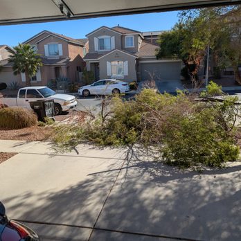 F&A Tree - Tree Services Near Me F&A Tree - Tree Services Near Me