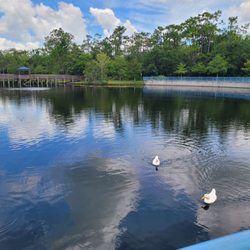 Bithlo Park - Lake