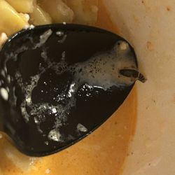 La Michoacana VIP - Bug in corn cup