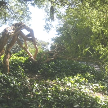 Averill Park - Parks Near Me - San Pedro, California