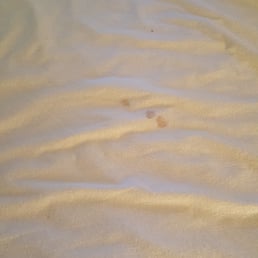 Blood stain mattress cover