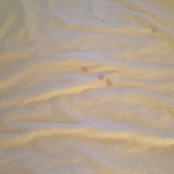 Coldwell Banker Vacations - Blood stain mattress cover - Vacation Rental Agents Near Me - Ocean City, Maryland