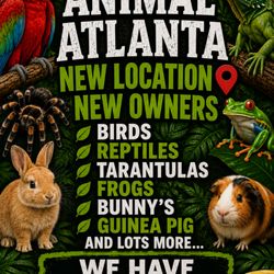 Animal Atlanta