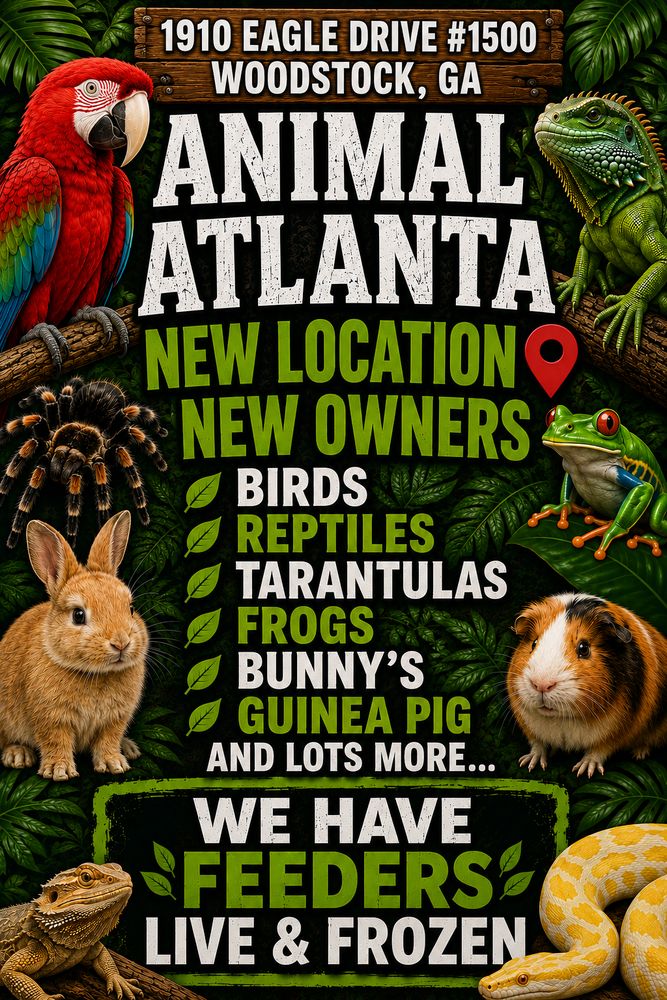 Animal Atlanta - pet boarding facility in Woodstock, GA