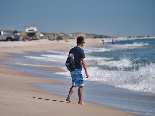 Island Beach State Park by null