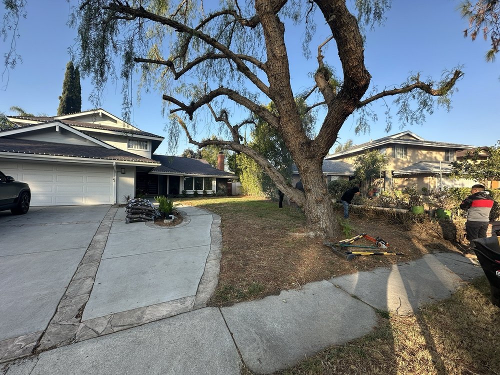 The Gardener - tree service in Valley Glen, CA