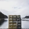 Potts Harbor Lobster gift card