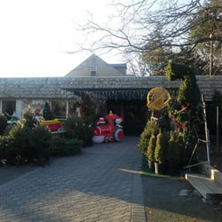 Amodio's Garden Center & Flower Shop - How festive!