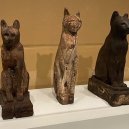 Cat coffins and mummies Cat coffins and mummies