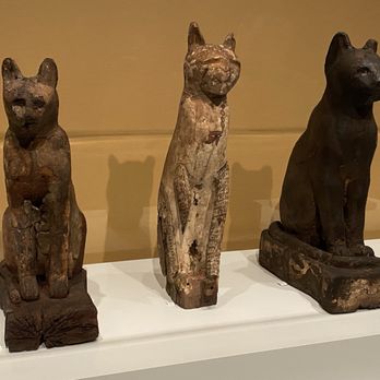 The Walters Art Museum - Cat coffins and mummies - Art Museums Near Me - Baltimore, Maryland The Walters Art Museum - Cat coffins and mummies - Art Museums Near Me - Baltimore, Maryland