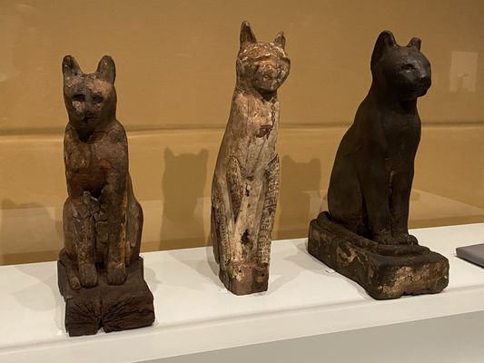 The Walters Art Museum by null