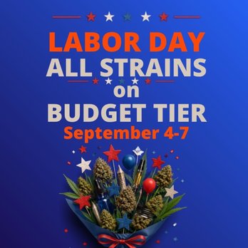 Silver Stem Fine Cannabis - Cannabis Dispensaries Near Me - Denver, Colorado Silver Stem Fine Cannabis - Cannabis Dispensaries Near Me - Denver, Colorado