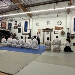 Pro Sessions Aikido