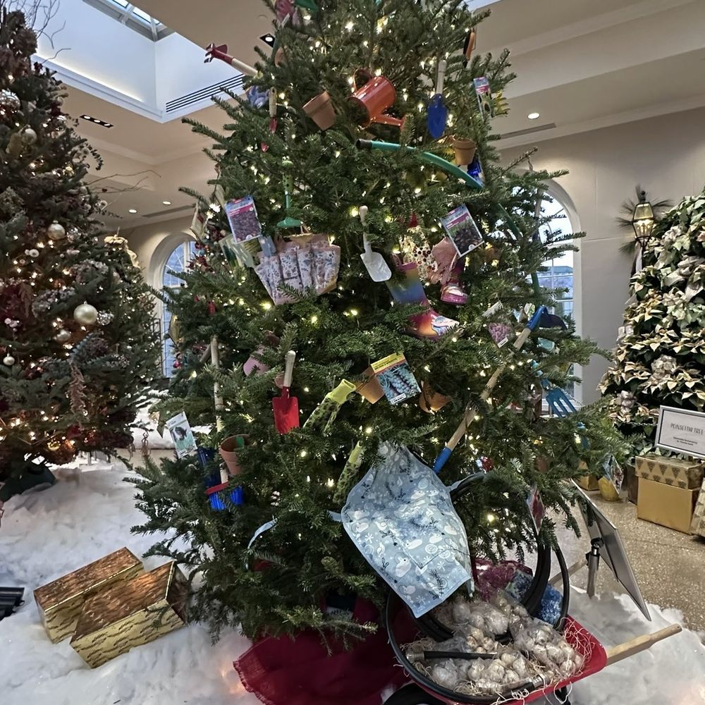 Hershey Gardens - Tree displayed in their display during Christmas, 2025 season - Botanical Gardens Near Me - Hershey, Pennsylvania Hershey Gardens - Tree displayed in their display during Christmas, 2025 season - Botanical Gardens Near Me - Hershey, Pennsylvania