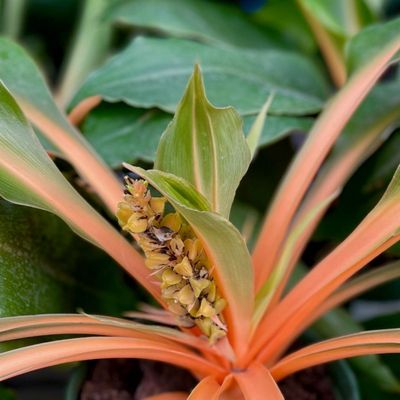 PRIMEX GARDEN CENTER - Updated February 2026 - 63 Photos & 78 Reviews