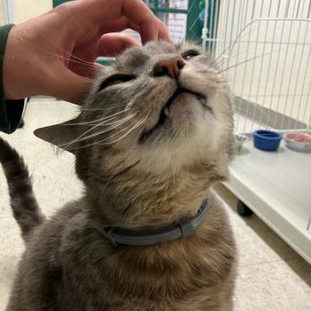 Myrtle Avenue Pet Center - Pet Sitting Near Me - Eureka, California Myrtle Avenue Pet Center - Pet Sitting Near Me - Eureka, California