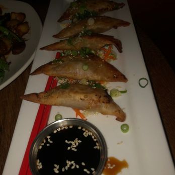 Project PUB - Vegetable Dumplings - Beer Bar Near Me - Somerville, New Jersey