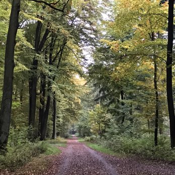 Volksdorfer Wald - Hiking Near Me - Hamburg, HH