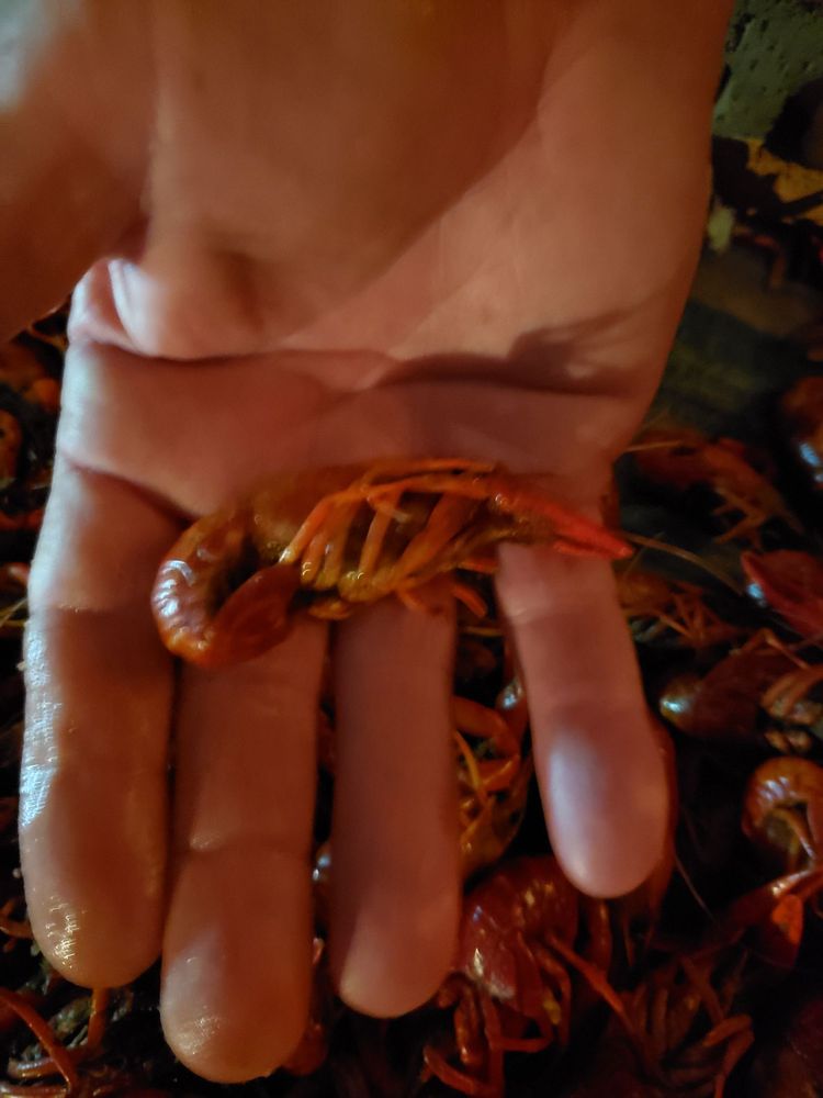 Stuffed Cajun Meat Market