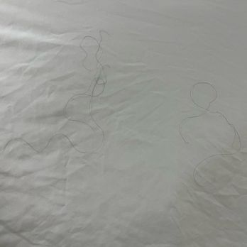 Weslaco Inn - Hair on the sheets - Hotels Near Me - Weslaco, Texas Weslaco Inn - Hair on the sheets - Hotels Near Me - Weslaco, Texas
