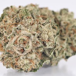 420 Altadena 25 Cap - $30 1/8ths