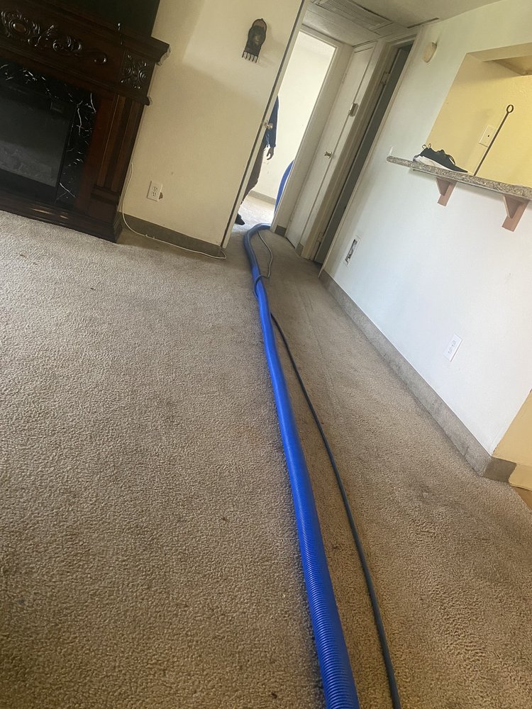 MILAN’S CARPET & UPHOLSTERY CLEANING Updated August 2024 18 Photos