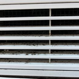 Mold on AC. Mold on AC.