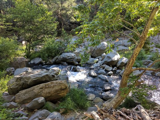 Pine Flat Campground by null