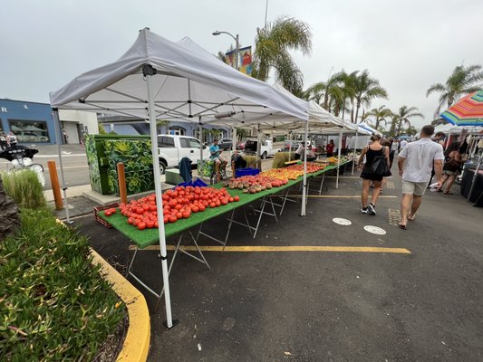 Solana Beach Farmers Market by null
