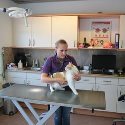 Dierenkliniek Dierzorg