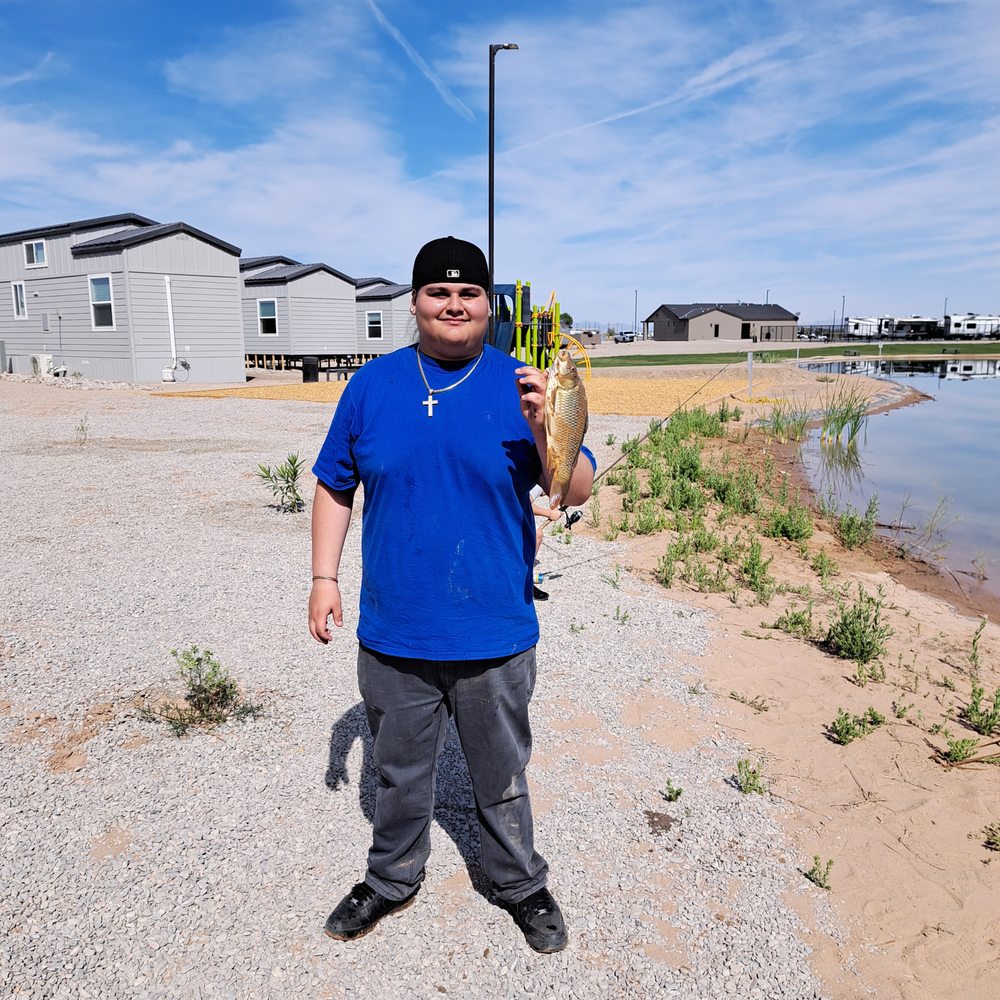 River Sands RV Resort - RV Parks Near Me - Ehrenberg, Arizona River Sands RV Resort - RV Parks Near Me - Ehrenberg, Arizona