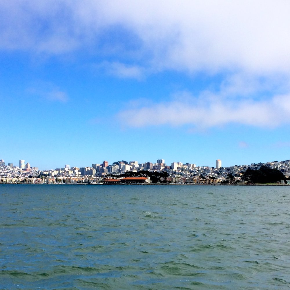 SF Bay Whale Watching - Beautiful SF, it was a gorgeous day! - Tours Near Me - San Francisco, California SF Bay Whale Watching - Beautiful SF, it was a gorgeous day! - Tours Near Me - San Francisco, California