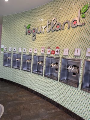 Yogurtland Dallas by null