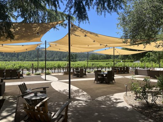 Benessere Vineyards by null