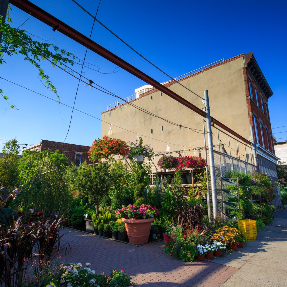 Chelsea Garden Center - Red Hook - Nurseries & Gardening Near Me - Brooklyn, New York Chelsea Garden Center - Red Hook - Nurseries & Gardening Near Me - Brooklyn, New York