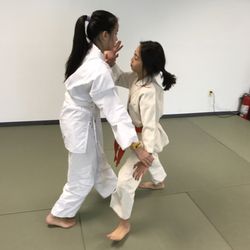 Potomac Aikikai - Kids practicing before class