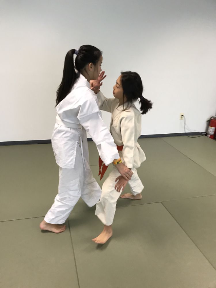 Potomac Aikikai Logo