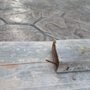 Photo of Bonnici Concrete