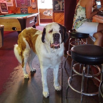 Sweet Springs Saloon - Bubba! - Pubs Near Me - Los Osos, California