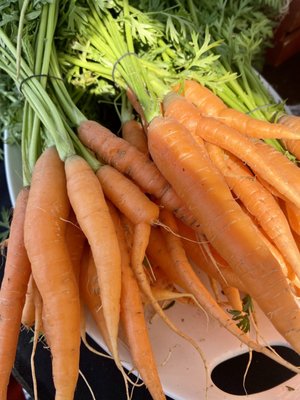 Uptown Farmers Market by null