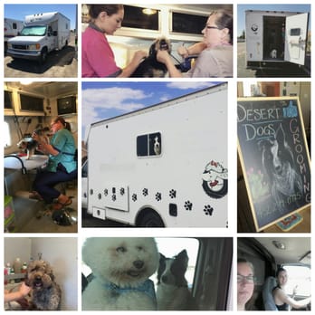Desert Dogs Mobile Pet Grooming - Pet Groomers Near Me - Van Horn, Texas Desert Dogs Mobile Pet Grooming - Pet Groomers Near Me - Van Horn, Texas