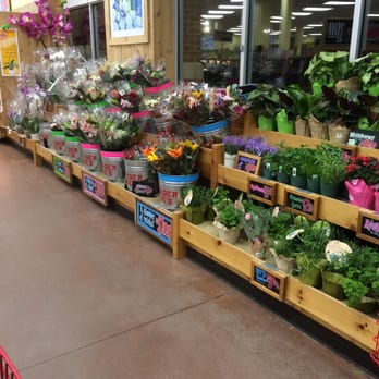 Trader Joe's - Grocery Near Me - Buffalo, New York Trader Joe's - Grocery Near Me - Buffalo, New York