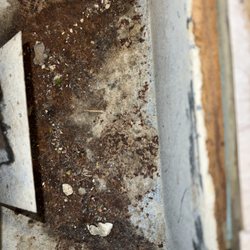 EcoAir Duct Cleaning