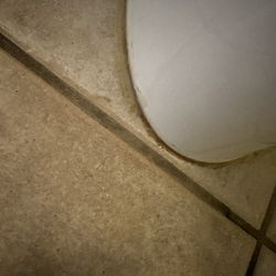 Castle Creek Inn - Bottom of toilet, bathroom was filthy