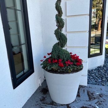 Haro landscape - Planters - Landscaping Near Me Haro landscape - Planters - Landscaping Near Me