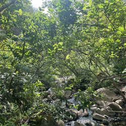 Makamaka’ole Stream Hike
