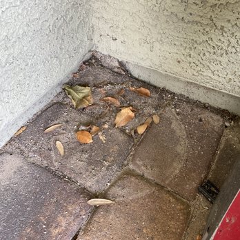 GEM Pressure Washing - Bucket ring and leaf/dirt build up - Pressure Washers Near Me GEM Pressure Washing - Bucket ring and leaf/dirt build up - Pressure Washers Near Me