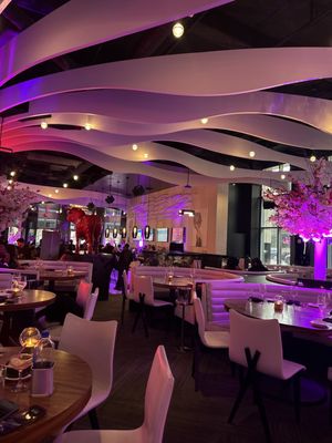 STK Steakhouse by null